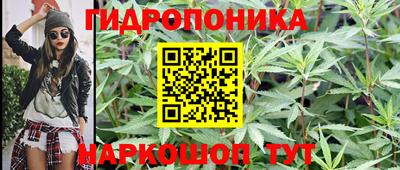 каннабис Гусь-Хрустальный