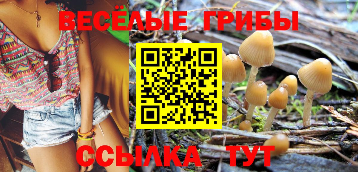 Нововоронеж  Галлюциногенные грибы мицелий  Вход с VPN 