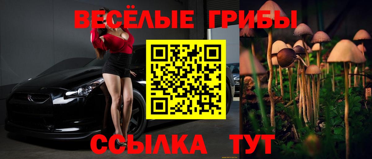 Псилоцибиновые грибы прущие грибы Нововоронеж